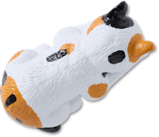 3D Multi Colored Cat