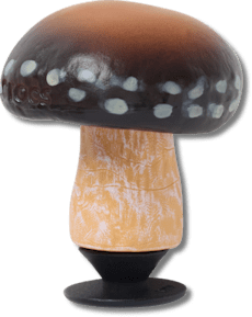 Realistic Portobello Mushroom