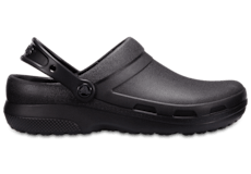 Specialist II Work Clog;