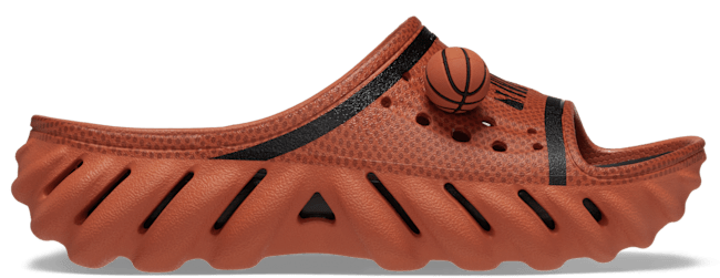 NBA Echo Slide;