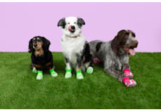 Pet Crocs Boots;