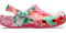 Dragon Fruit