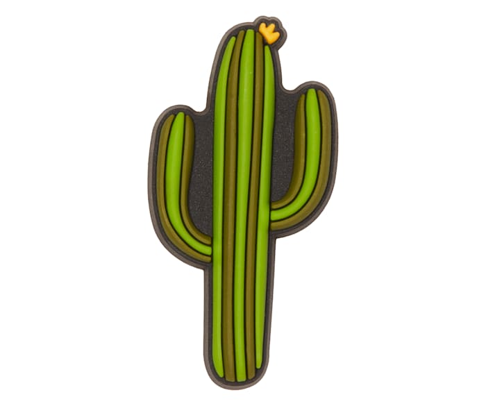 Cactus jibbitz clearance