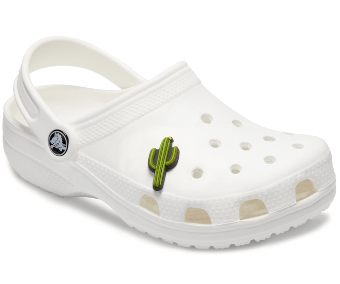 Cactus jibbitz clearance