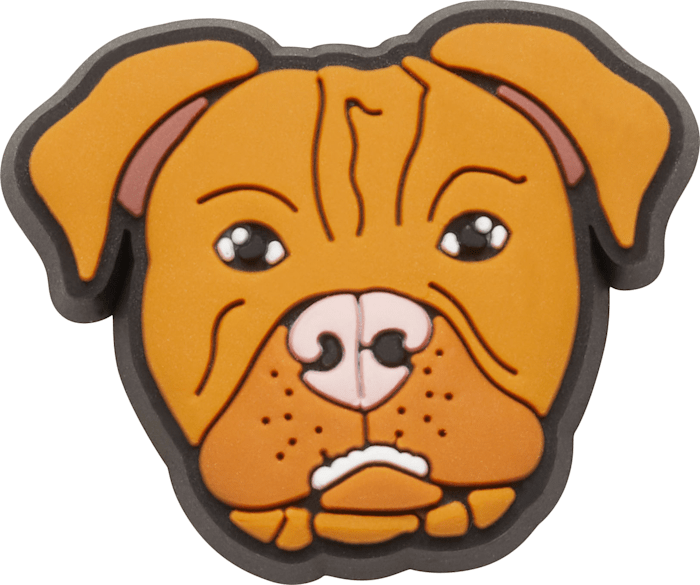 Pitbull croc charm clearance