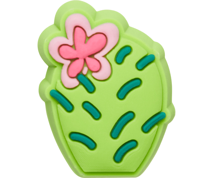 Cactus jibbitz clearance