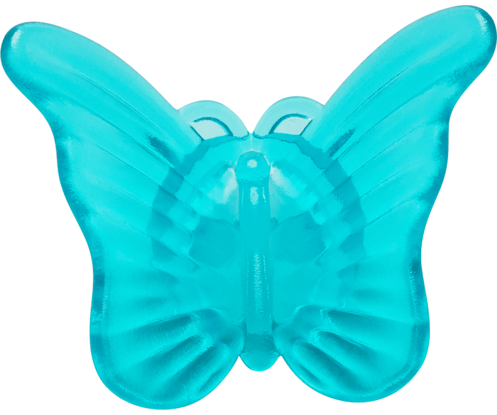 Blue butterfly jibbitz clearance