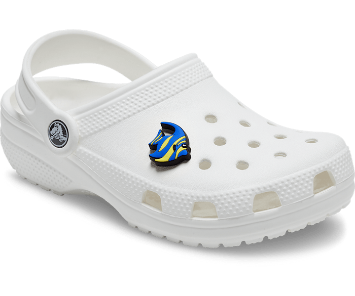 Fish croc jibbitz Clearance