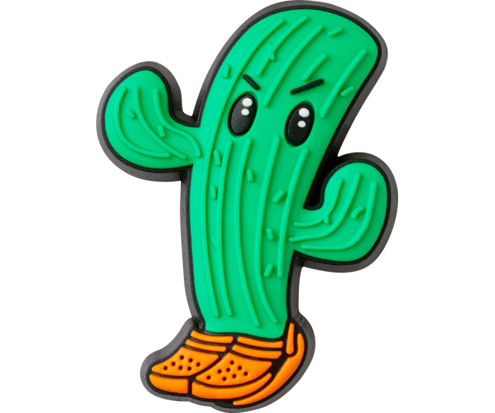 Cactus jibbitz clearance