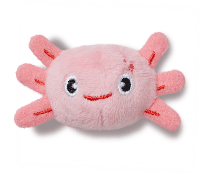  Axolotl réglable - Angle personnalisé - Jibbitz