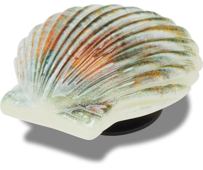  Natural Seashell - charms on shoes - Jibbitz