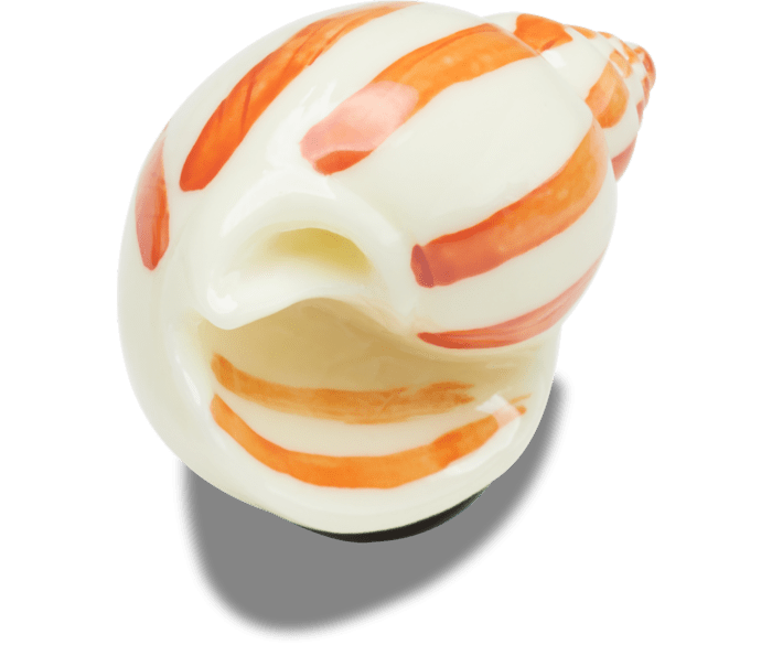 Natural Conch Shell