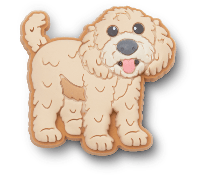 Goldendoodle Slides
