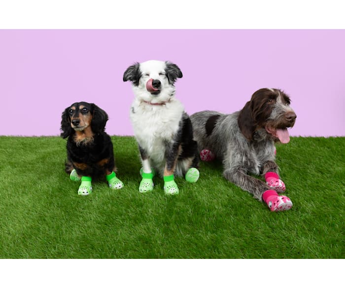 Green Slime Pet Crocs Boots - Pair - Crocs