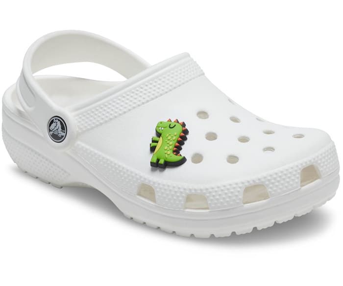 Dinosaur croc deals charms