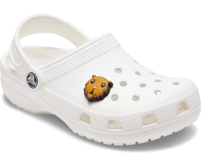 Beaver Jibbitz charms Crocs