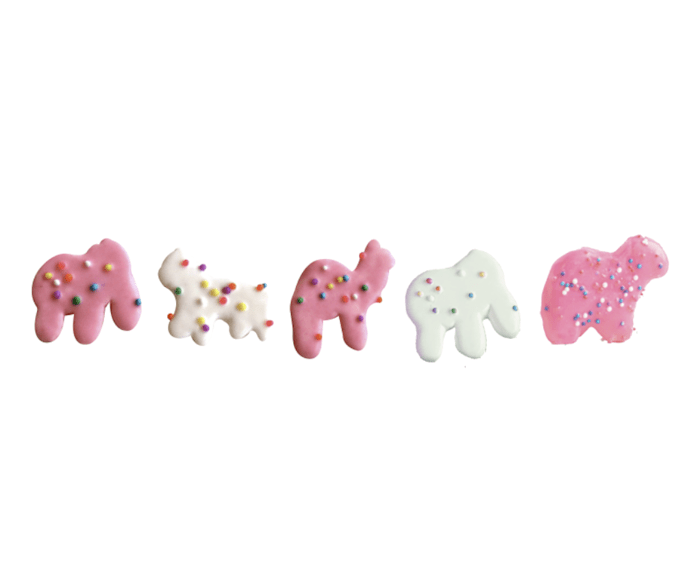 Animal Cookies 5 Pack