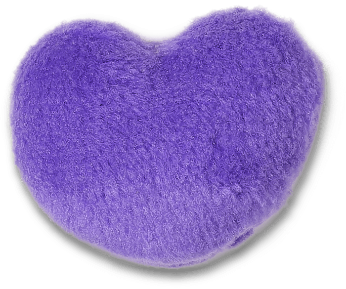 Heart croc charm top