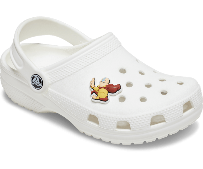 Avatar the last airbender croc charms deals
