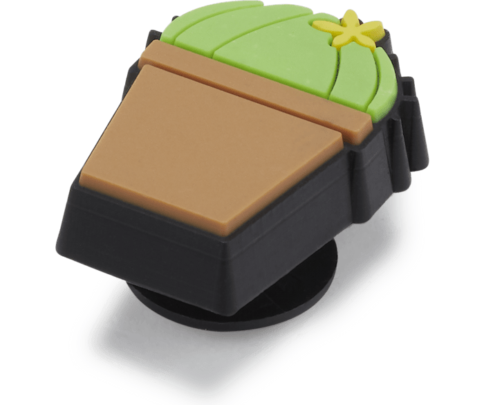 Cactus jibbitz best sale