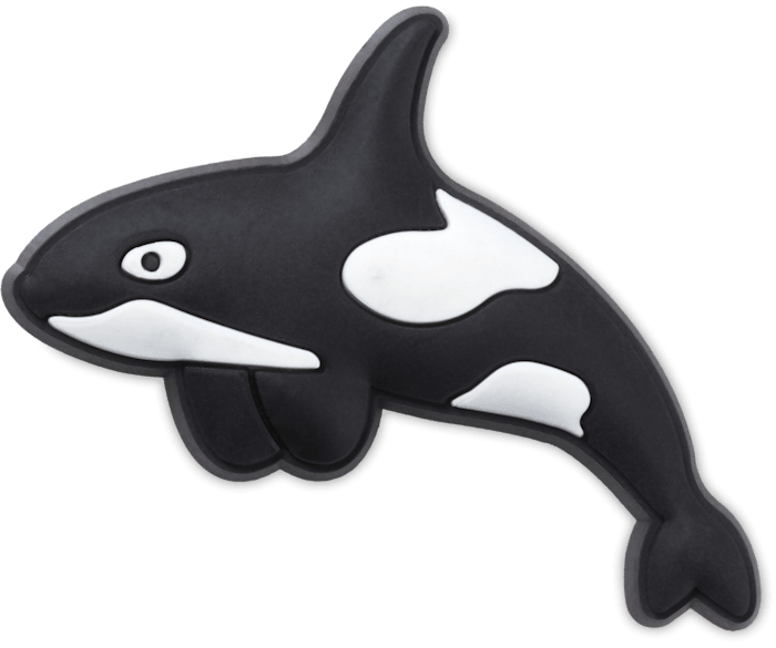 Dolphin jibbitz shop