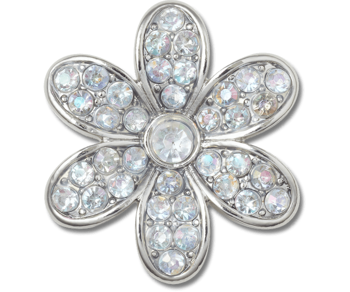 Silver Monochrome Daisy