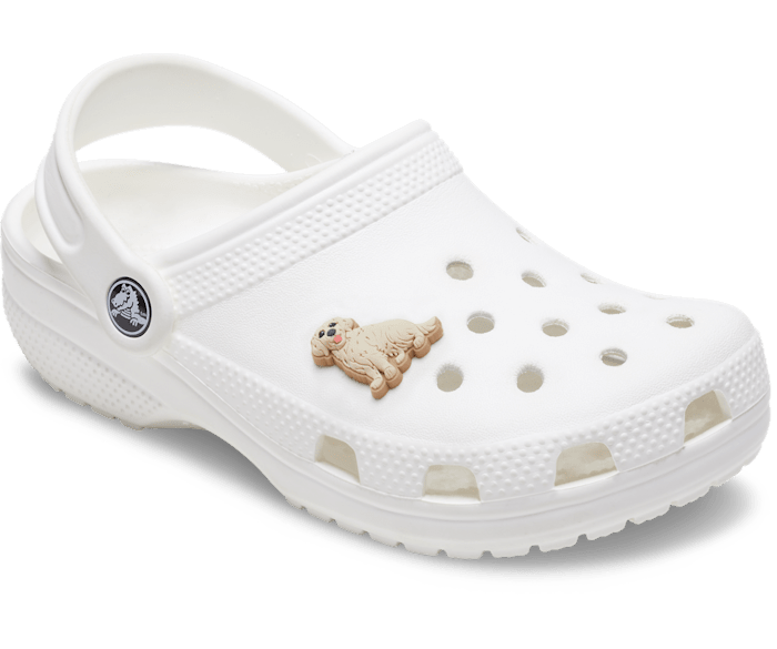 Golden retriever jibbitz clearance