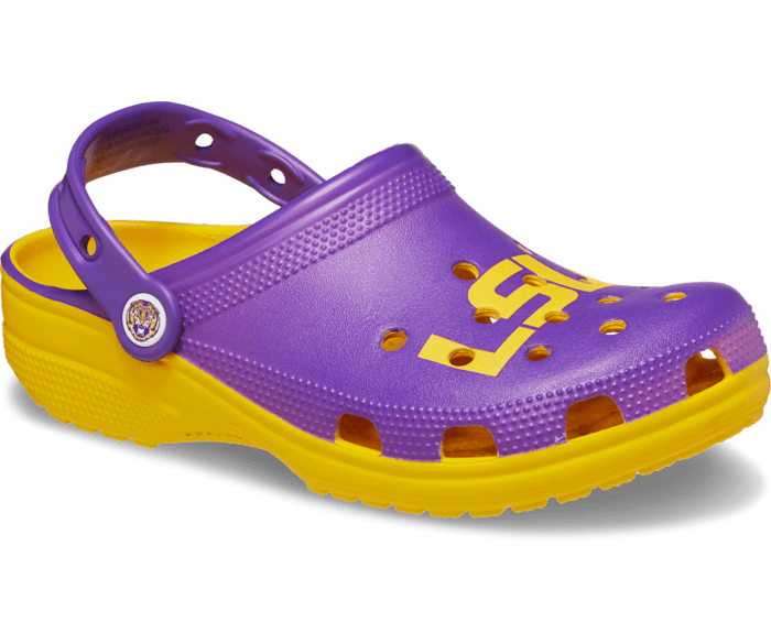 Purple and gold crocs outlet