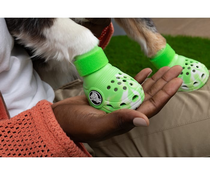 Dog shoes crocs on sale