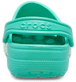Show Back View