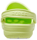 Show Back View