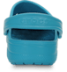 Show Back View