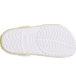 Show Bottom View