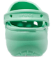 Show Back View