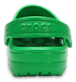 Show Back View