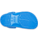 Show Bottom View