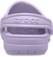 Show Back View