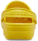 Show Back View
