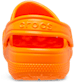 Show Back View