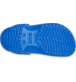 Show Bottom View