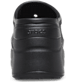 Show Back View