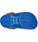 Show Custom Angle View