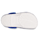 Show Bottom View