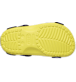 Show Bottom View