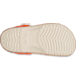Show Bottom View