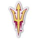 Arizona State University