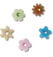 Enlighten Flower 5 Pack