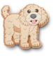 Golden Doodle Puppy