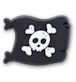 Pirate Flag and Skull