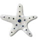 Silver Starfish